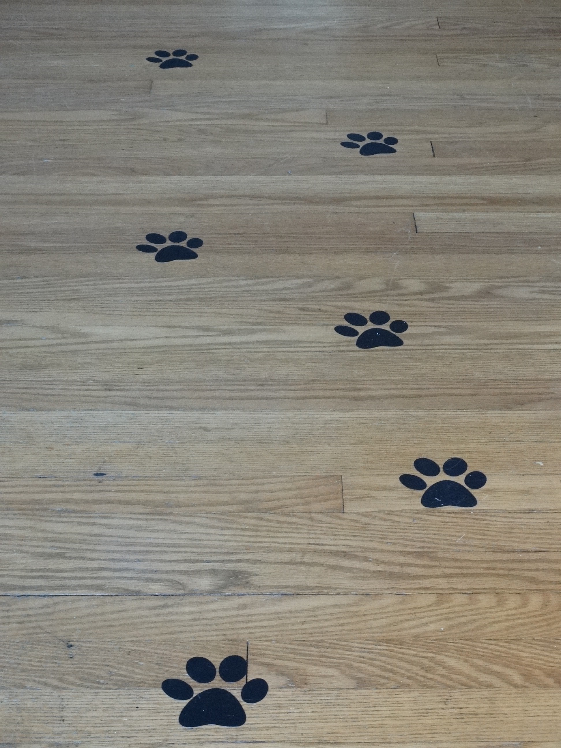 paw prints for a puppy party from vinyl