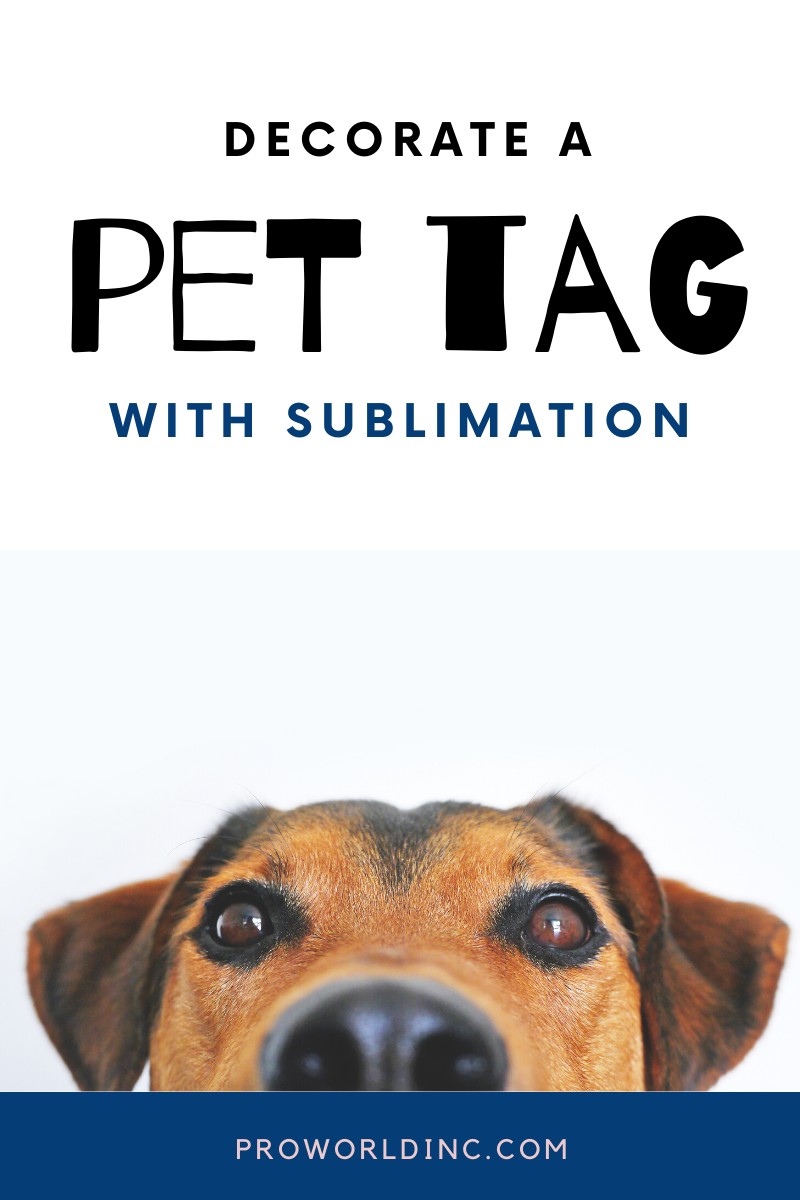 pet tag